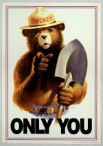 Uncle_Sam_style_Smokey_Bear_Only_You.jpg