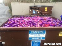 22-dumpster-full-of-dildos.jpg