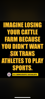IMG_3945.png